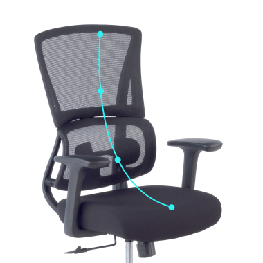 ergonomic chair black without headrest fabric fixed armrests double lumbar support 8