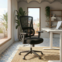 Ergonomic Desk Chair with...