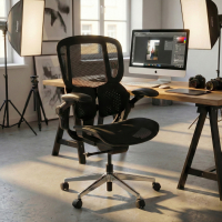 Ergonomic Chair Erghos One,...