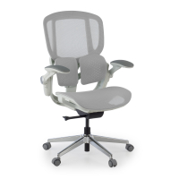 Ergonomic Chair Erghos One,...