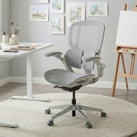 Ergonomic Chair Erghos One, orthopaedic, double lumbar support