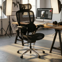 Ergonomic Chair with...