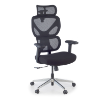 Ergonomic Office Chair...
