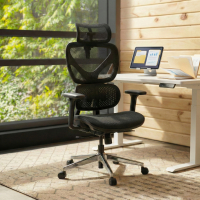 Ergonomic Office Chair...