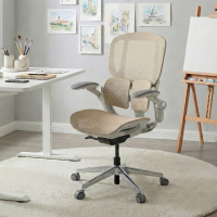 Ergonomic Chair Erghos One,...