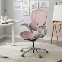 Ergonomic Chair Erghos One,...