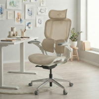 Ergonomic Chair with...