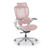 Ergonomic Chair Erghos One, orthopaedic, double lumbar support