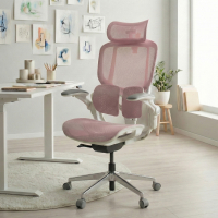 Ergonomic Chair with...