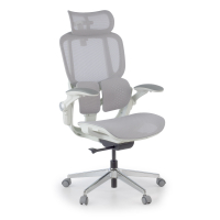 Ergonomic Chair with...