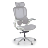 Ergonomic Chair with Headrest Erghos One, orthopaedic, double lumbar support
