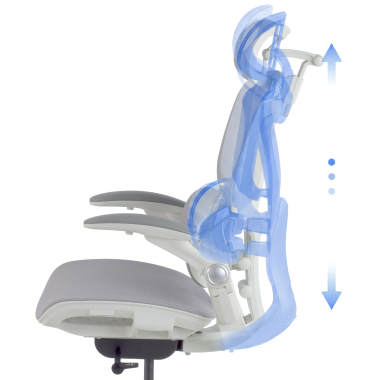Ergonomic Design