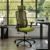 Quick Ergonomic Chair,...