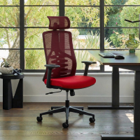 Quick Ergonomic Chair,...