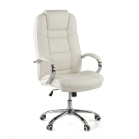 Adana Office Chair, very...