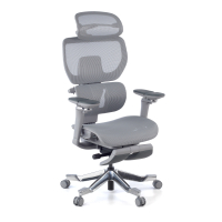 Premium Ergonomic Office...