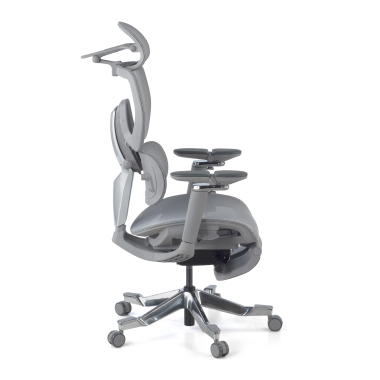 ergonomic chair gray erghos x4 pro mesh 6d adjustable armrests double lumbar support headrest extendable footrest 12