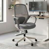 Whisper Desk Chair...