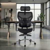 Ergonomic Chair Erghos X3,...