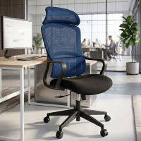 Nebula Ergonomic Office Chair, lumbar cushion