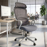 Nebula Ergonomic Office...