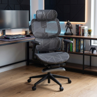 Every ergonomic chair, with removable red footrest