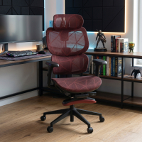 Every ergonomic chair, with...