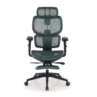 ergonomic chair green every mesh 3d adjustable armrests headrest extendable footrest 3