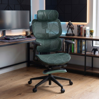 Every ergonomic chair, with...