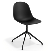 Meeting Chair Lara,...