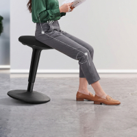 Ergonomic Office Stool...