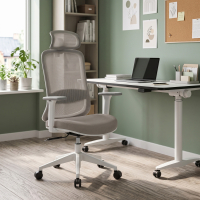 Office Chair with Headrest and Rounded Design Task