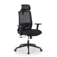 Office Chair with Headrest...