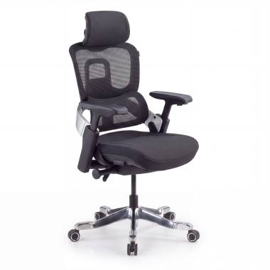 ergonomic chair black zenpro aluminum ergonomic chair mesh 4d adjustable armrests double lumbar support headrest 1