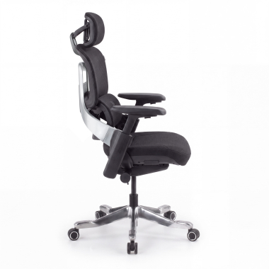 ergonomic chair black zenpro aluminum ergonomic chair mesh 4d adjustable armrests double lumbar support headrest 4