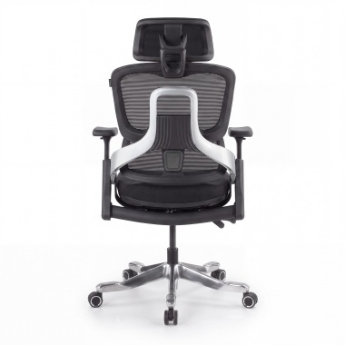ergonomic chair black zenpro aluminum ergonomic chair mesh 4d adjustable armrests double lumbar support headrest 5