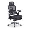 Orthopedic Ergonomic Chair ZenPro, Dual Backrest, Aluminium Frame