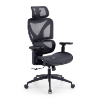 Ergonomic office chair...