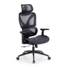 Ergonomic office chair Velstrom with lumbar support and 3D armrests