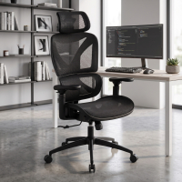 Ergonomic office chair...