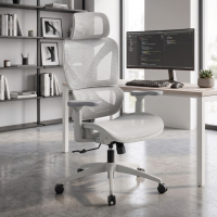 Ergonomic office chair...