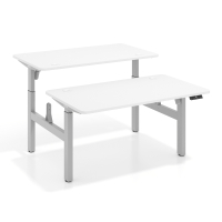 Double standing desk for 2...