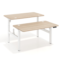 Double standing desk for 2...
