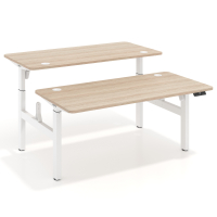 Double standing desk for 2...