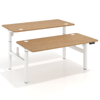 Double standing desk for 2...