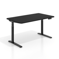Electric standing desk Erghos Icon, dual motor, oval column