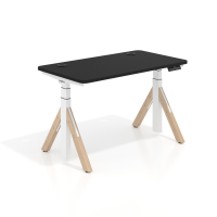 Premium electric standing...