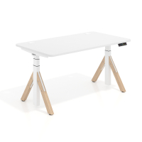 Premium electric standing...