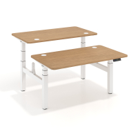 Double standing desk for 2...