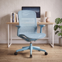 Designer office chair Muse with a modern look, 3D armrests and ergonomic backrest